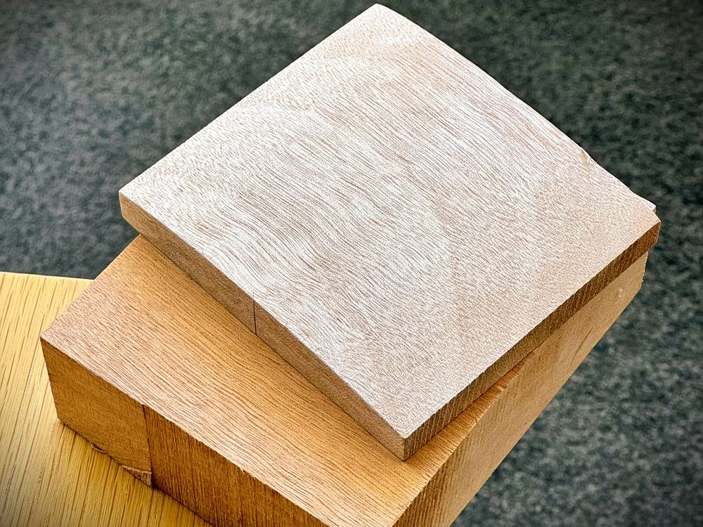 Queensland Maple